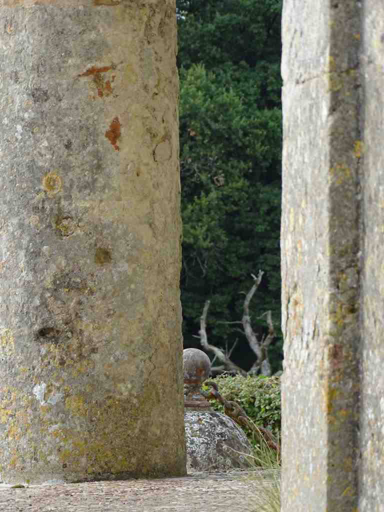 galerie photo gratuites